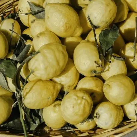 Limão e outras frutas, vegetais, mercearias e cabazes ao domicílio com a Horta da Maria Portugal