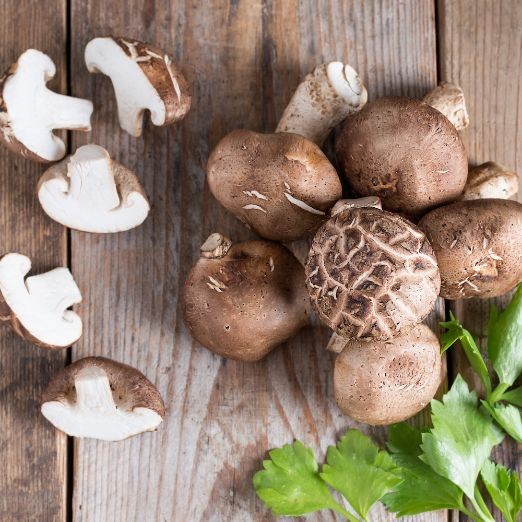 Cogumelo Shitake Shiitake 500g