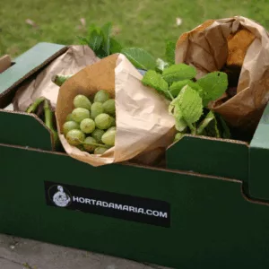 Cabaz de Frutas e Legumes Mini - Subscrição para 1 pessoa da Horta da Maria - Entregas em todo o Pais
