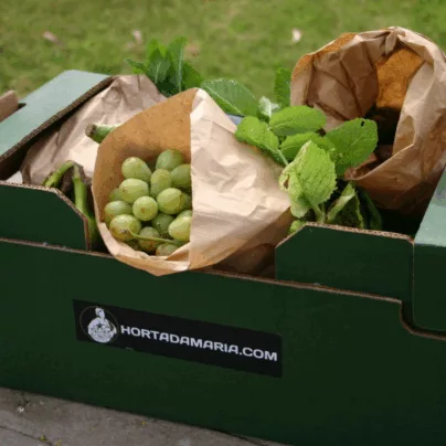 Cabaz de Frutas e Legumes Mini - Subscrição para 1 pessoa da Horta da Maria - Entregas em todo o Pais