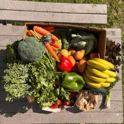 Cabaz de Frutas e Legumes Mini - Subscrição para 1 pessoa da Horta da Maria - Entregas em todo o Pais