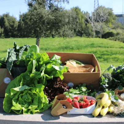 Cabaz de Frutas e Legumes Grande - Subscrição para 4 pessoas da Horta da Maria - Entregas em todo o Pais