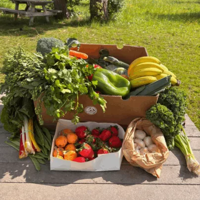 Cabaz de Frutas e Legumes Médio - Subscrição para 4 pessoas da Horta da Maria - Entregas em todo o Pais