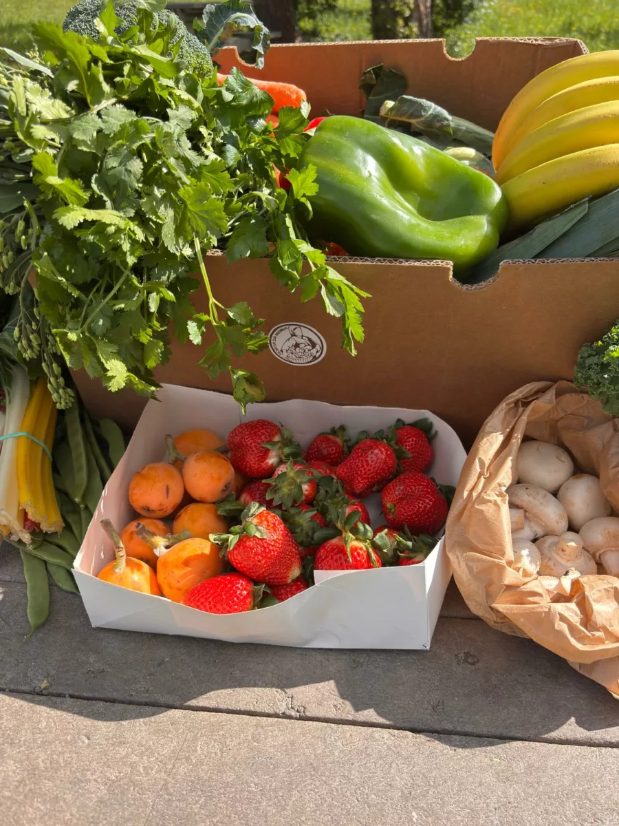 Cabaz de Frutas e Legumes Pequeno - Subscrição para 2 pessoa