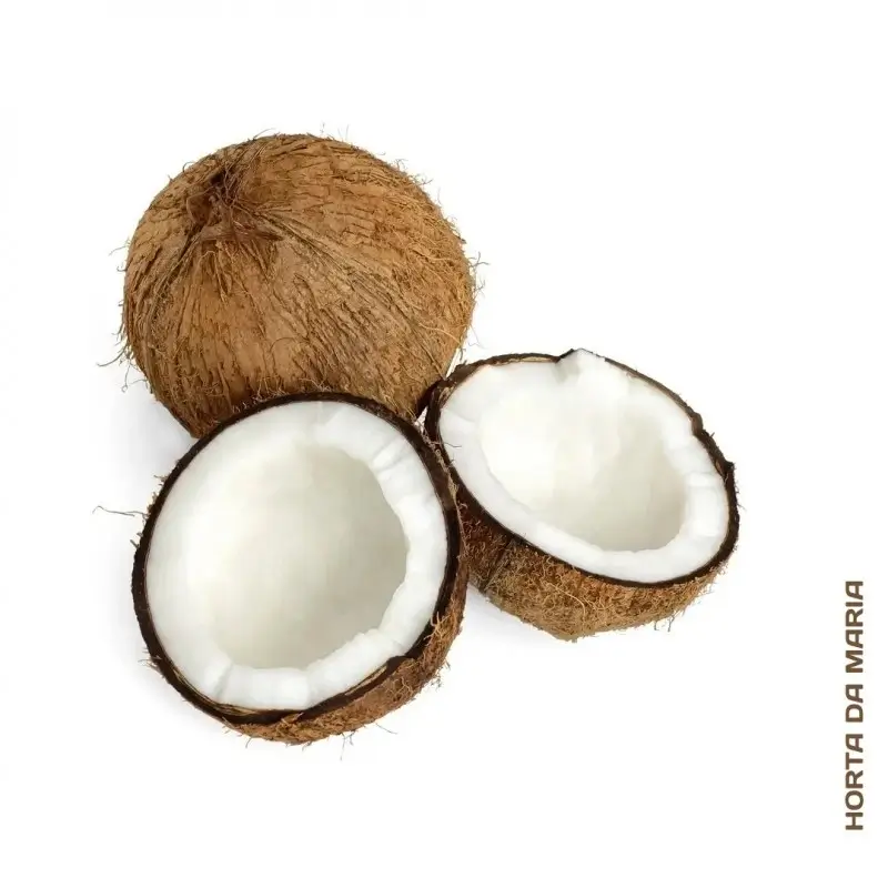 Coco laminado - Marketplace