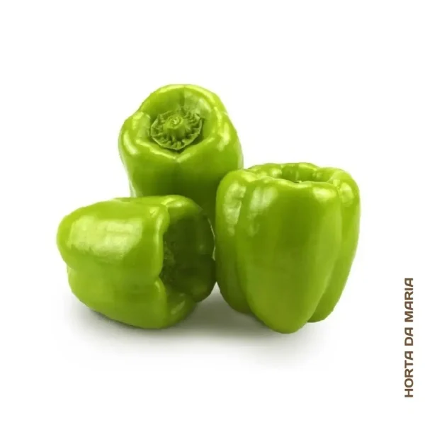 Pimento Verde (Uni) - Image 3